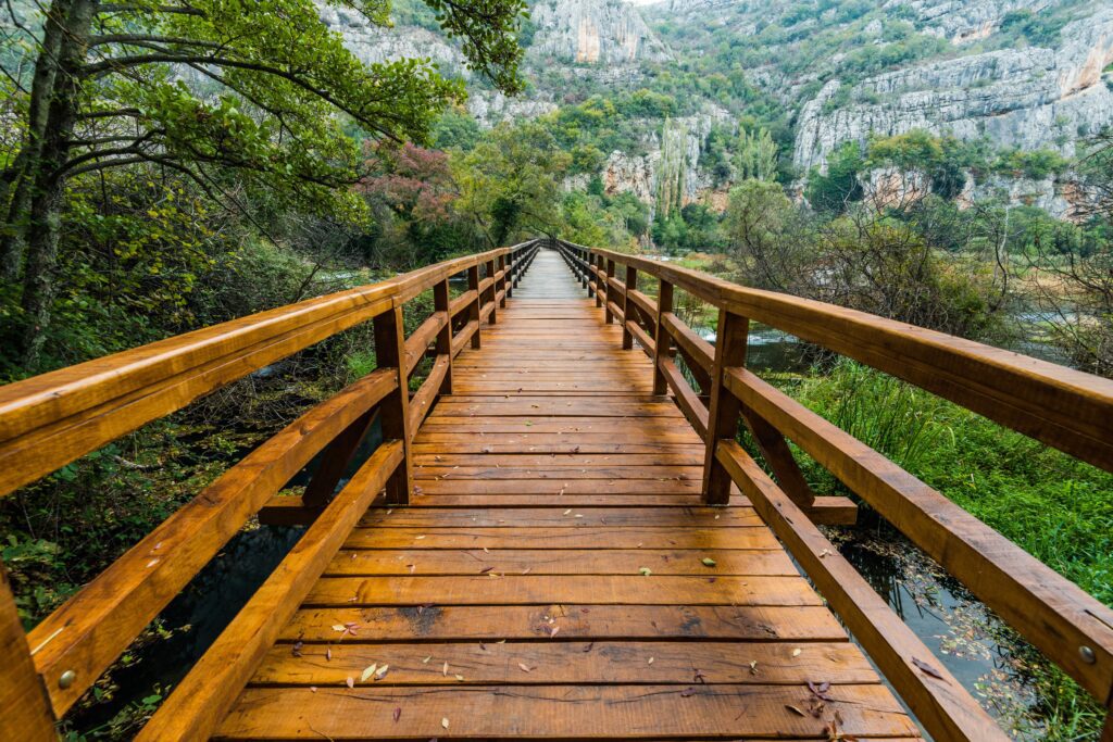 Wooden footbridge in a lush forest, symbolizing Bridgehead Legal Capital’s role in connecting contingency-fee law firms with tailored funding.